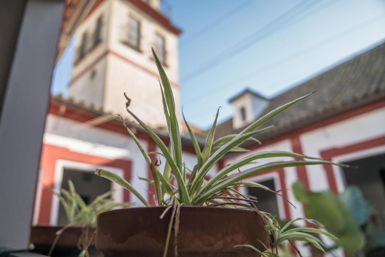 Loft En Casa Palacio Mergelina Parking Gratis ซันลูการ์เดบาร์ราเมดา ภายนอก รูปภาพ